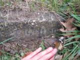 image of grave number 444145